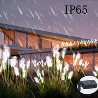 Lampe Solaire LED Pampas - Éclairage Extérieur Décoratif IP65 - Elégance & Déco