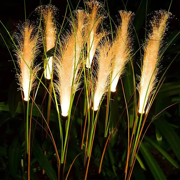 Lampe Solaire LED Pampas - Éclairage Extérieur Décoratif IP65 - Elégance & Déco