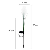 Lampe Solaire LED Pampas - Éclairage Extérieur Décoratif IP65 - Elégance & Déco