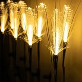 Lampe Solaire LED Pampas - Éclairage Extérieur Décoratif IP65 - Elégance & Déco