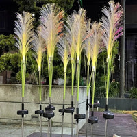 Lampe Solaire LED Pampas - Éclairage Extérieur Décoratif IP65 - Elégance & Déco