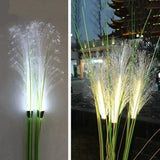 Lampe Solaire LED Pampas - Éclairage Extérieur Décoratif IP65 - Elégance & Déco