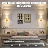 Applique murale | Kymo ELEGANCE & DECO